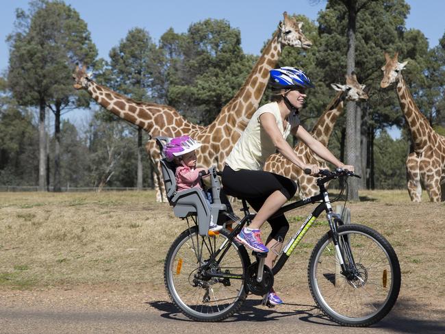 Taronga Western Plains Zoo. Picture: Rick Stevens