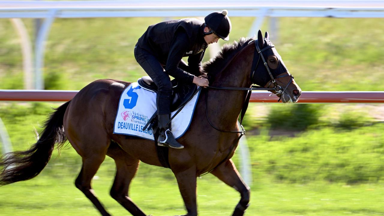 Jockey Angus Villiers rides Melbourne Cup favourite Deauville Legend. Picture: William West / AFP