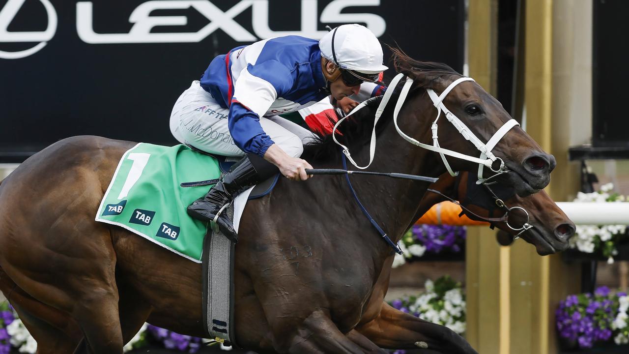 Atishu will be aiming to win another Group 1 at Flemington in the All-Star Mile on Saturday. Picture: Michael Klein