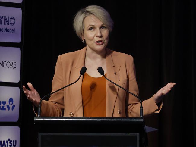 Minister Tanya Plibersek in Canberra. Picture: Adam Taylor