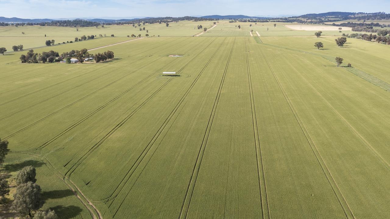 Three Victorian farms hit the market for $40m combined