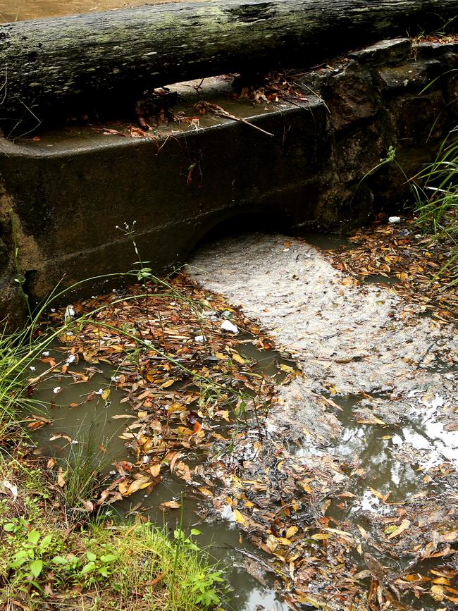 Big rainfall events result in even more plastic entering the harbour. Picture: Adam Taylor