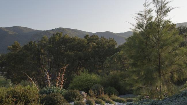 Most of the garden is planted on the eastern and western sides of the house so as not to interrupt the views of the mountains to the northern side