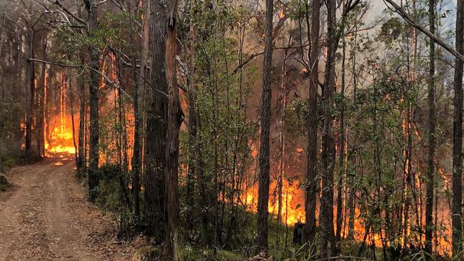 The Currowan fire, north of Batemans Bay, tore through almost 500,000 hectares in two months. Picture: Milton RFS.