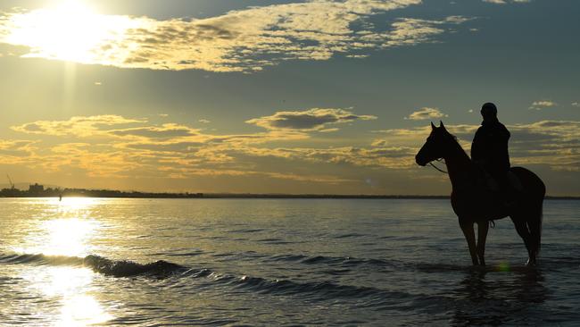 Johanne Taylor and The Autumn Sun at Altona Beach on Sunday morning.