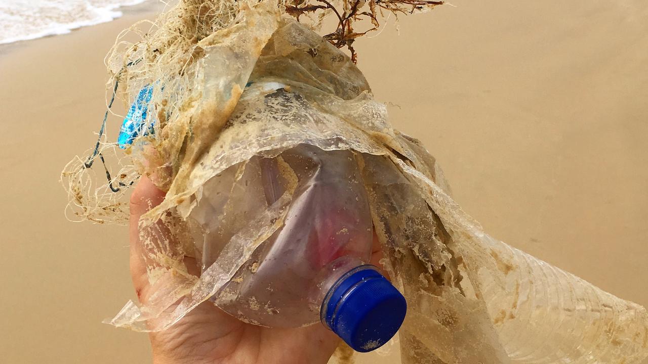 Plastic on our beaches around Noosa and on K'gari is not hard to collect.