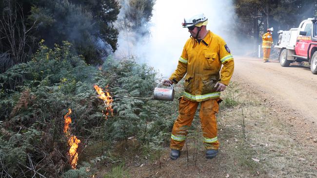 Lee Hodgman, senior firefighter with Hobart Brigade, conducts back-burning on Fourfoot Rd, Geeveston. Picture: NIKKI DAVIS-JONES