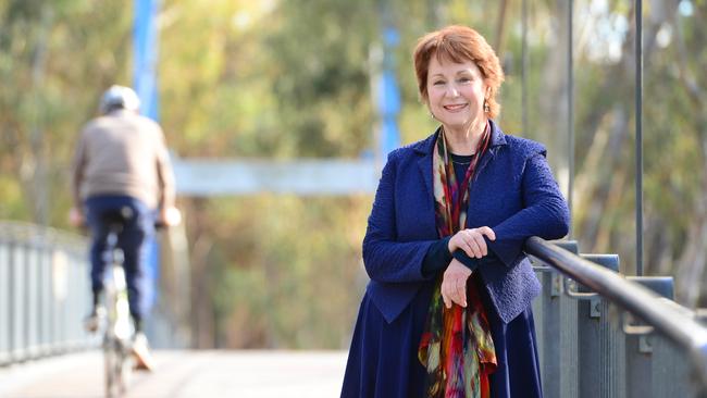 Seeking assurance: Suzanna Sheed MP, pictured in Shepparton,has raised concerns over proposed solar farms. 