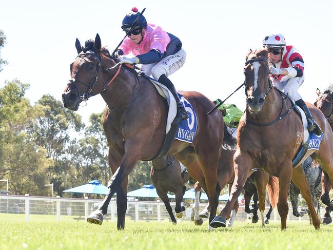 Lake Forest can improve on his fighting first-up win at Thursday's Pakenham meeting. Picture: Racing Photos via Getty Images.