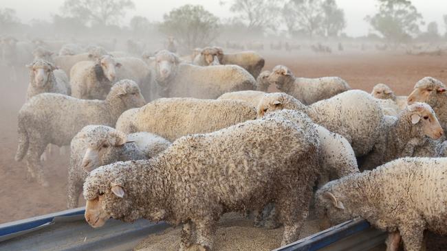 Rate run: What were once regarded as cheap Regional Investment Corporation loans are set to become far more expensive for drought affected and young farmers to service.