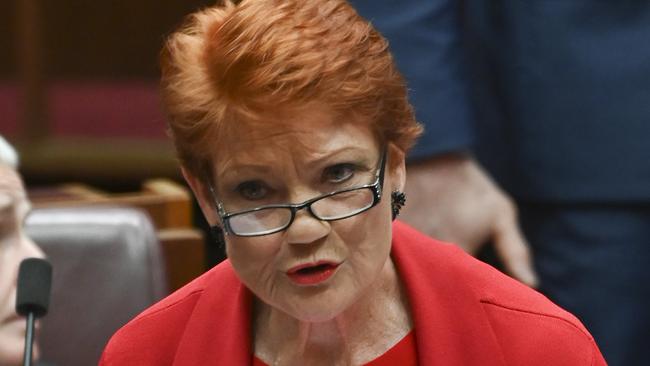 A defamation suit against Pauline Hanson has been thrown out. Picture: NCA NewsWire / Martin Ollman