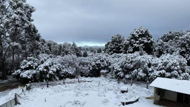 Snow at Waratah, Tasmania on 04/08/2020. Photo: Mathew Robinson
