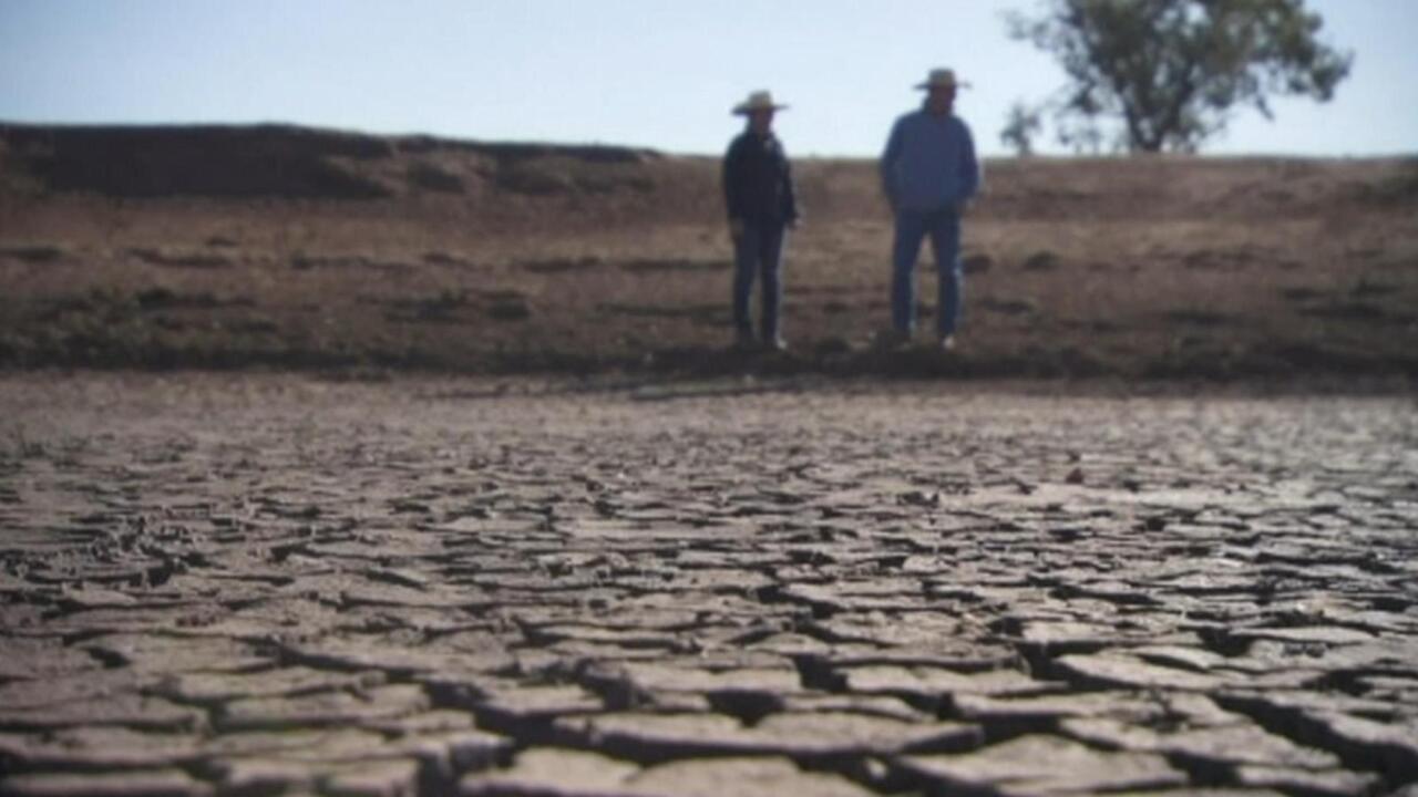 Qld farmers are spending $40,000 a week to truck in water