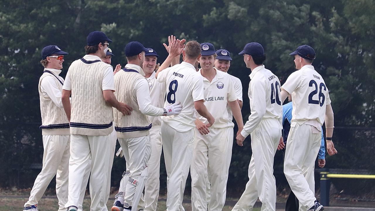 Geelong celebrate a wicket against Footscray. Picture: Carey Neate.