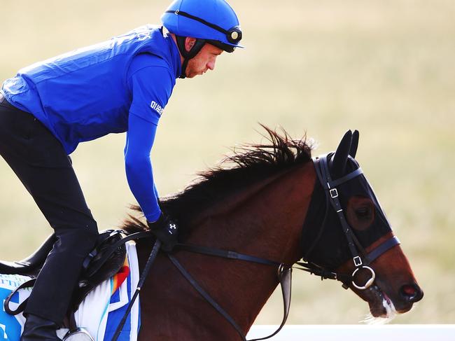 Caulfield Cup winner Best Solution at a Werribee trackwork session.