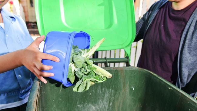 The Federal Government has committed to providing FOGO bins to all households by the end of 2023. Picture: Newscorp Australia/ Brenton Edwards