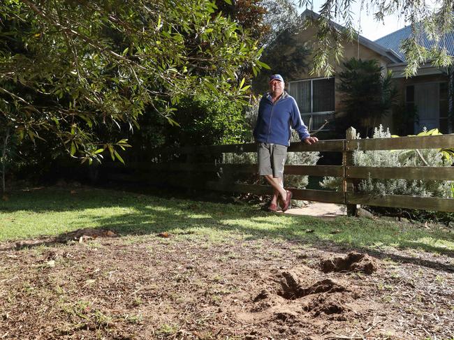 Macmasters Beach resident Max Nakhla pictured outside his home with burrows in foreground. Picture: Sue Graham