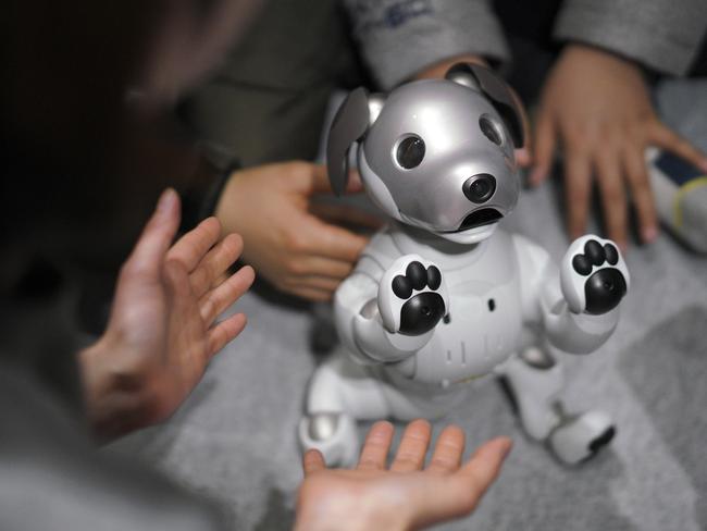 Guests play with Sony's new Aibo robot . Pic: AP Photo/Eugene Hoshiko.