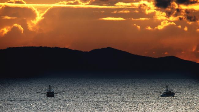 A Fisheries Queensland spokesman said vessel tracking had been used in trawl fisheries for 15 years with “no issues with inappropriate release of fishers’ private data”