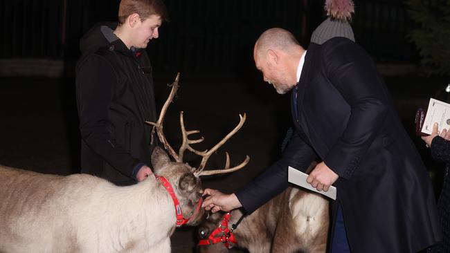 Mike Tindall pats a reindeer at the 2021 Together at Christmas carol service. Picture: Chris Jackson/Getty Images