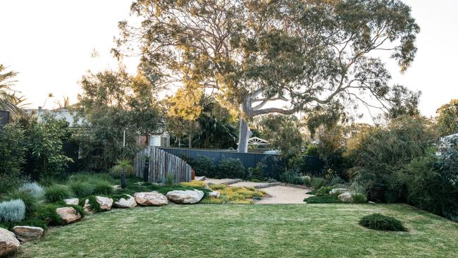 The gum tree next door provided inspiration for the landscaping