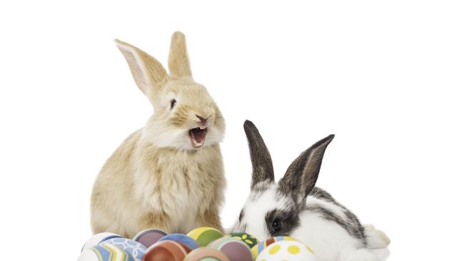 WHat’s open in Mackay and the Whitsundays this Easter?