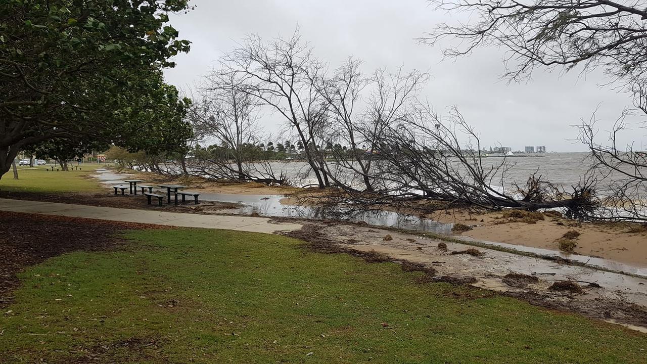 Christie Payne took this photo of trees knocked over at Pelican Park. PHOTO FOR REDCLIFFE HERALD