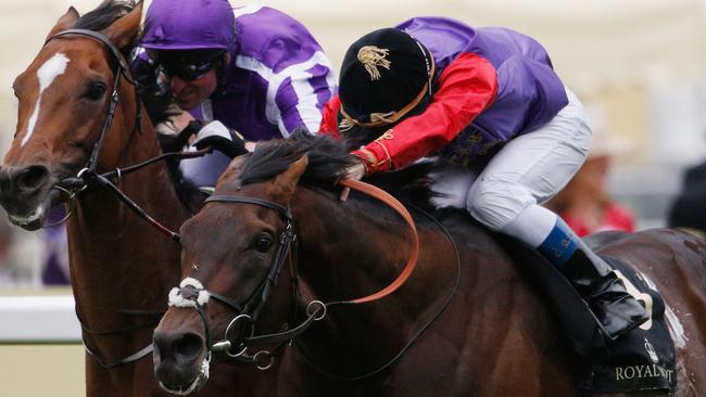 Dartmouth, seen here winning at Ascot, could be aimed at the Melbourne Cup. Picture: Getty Images