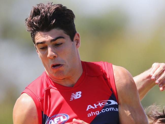 MELBOURNE, AUSTRALIA - FEBRUARY 25: Christian Petracca of the Demons marks the ball during the JLT Community Series AFL match between the Melbourne Demons and the Carlton Blues at Casey Fields on February 25, 2017 in Melbourne, Australia. (Photo by Michael Dodge/Getty Images)