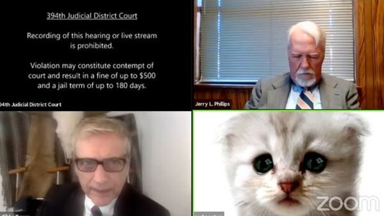 The Texas lawyer somehow activated a cat filter. Picture: Zoom