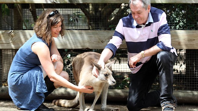 Researchers clash over roo harvesting | The Australian