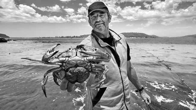 Mark ready to release female blue swimmer crab carrying eggs. Picture: Urs Buhlman