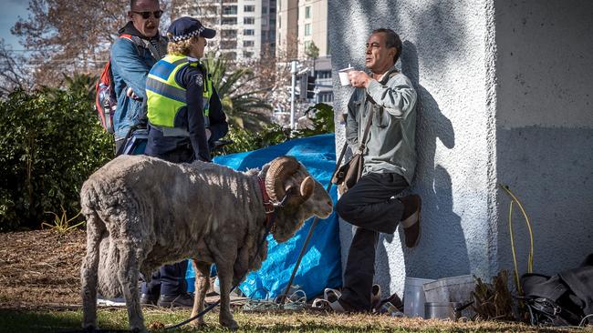 Melbourne Council clears homeless camp at Enterprize Park | Herald Sun