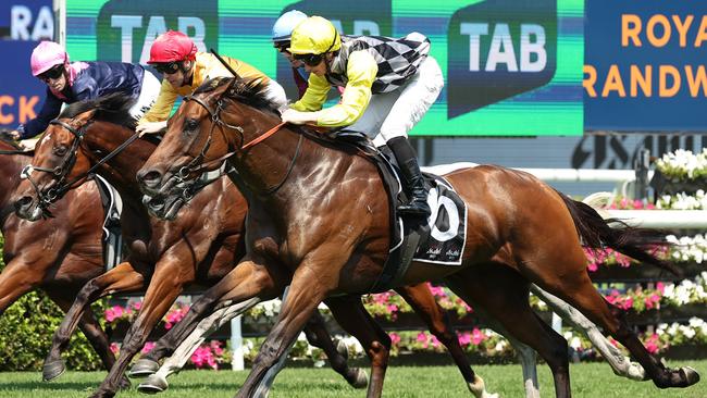 Spring Lee scored a timely win at Randwick on Saturday. Picture: Getty Images