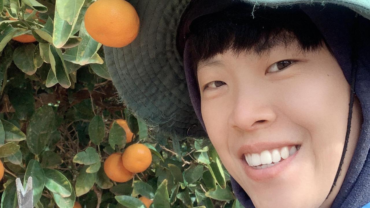 Kate picked oranges in Renmark, SA.