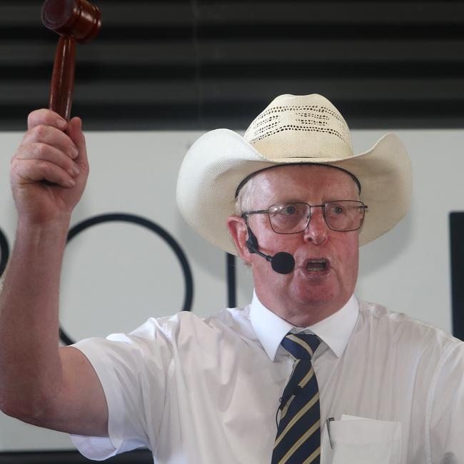 Auctioneer Brian Leslie in action at the Lawsons Angus sale. Picture: Yuri Kouzmin