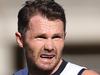 ‘Embrace the change’: How new captain is key to Cats flag charge