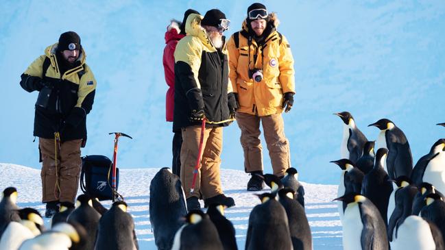 Expeditioners surrounded by Emperor Penguins: Michael Brill/AAD