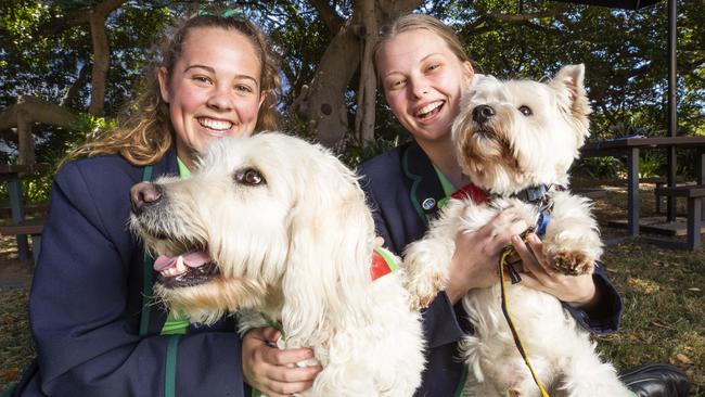 Somerville House Year 12 students Laura Jobling and Gracie Titmarsh get a visit from therapy dogs Oscar and Poppy to take the stress out of end-of-year exams. Picture: Lachie Millard