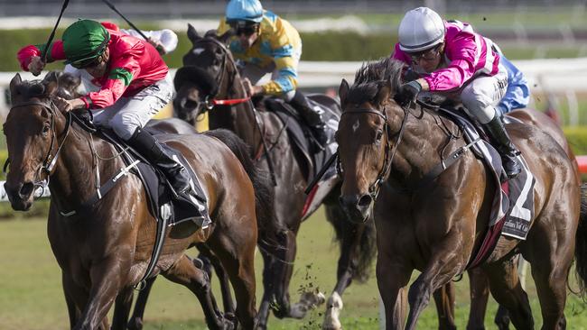 Dixie Blossoms charging down the home straight at Randwick. Picture: AAP Images