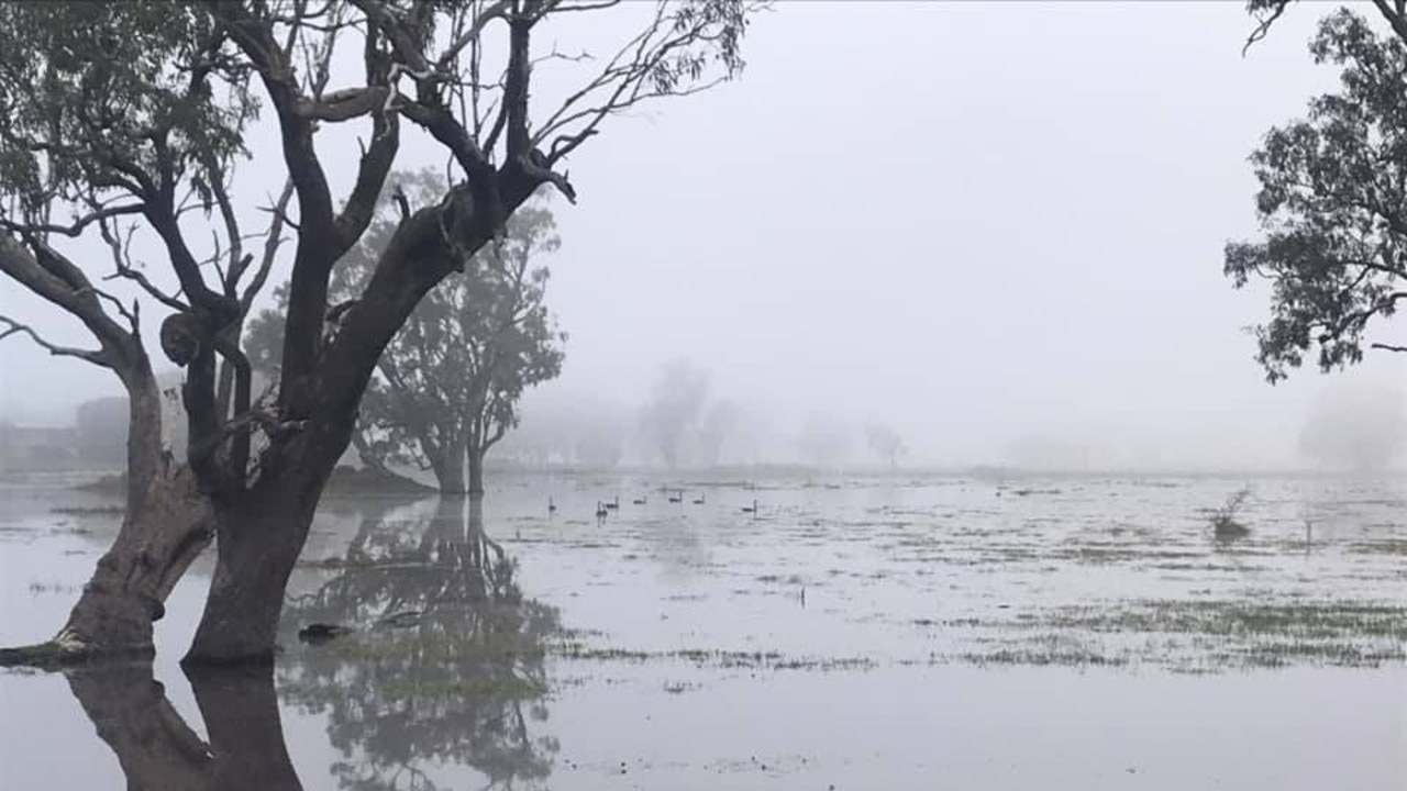 Marcia Miller said they got 45.5mm at Midgee near Rockhampton in the last 24 hours.