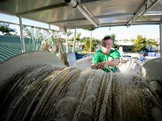 Tannum Sands commercial fisherman Dane King is fighting a losing battle trying to keep his nets in the water. Picture: Paul Braven