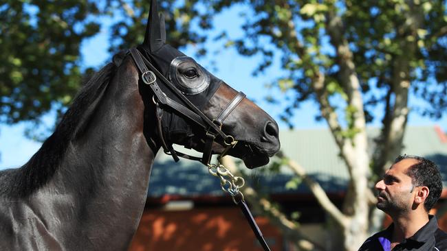 Verry Elleegant with strapper Rocky Mangat at Rosehill. Picture: John Feder/ The Daily Telegraph.