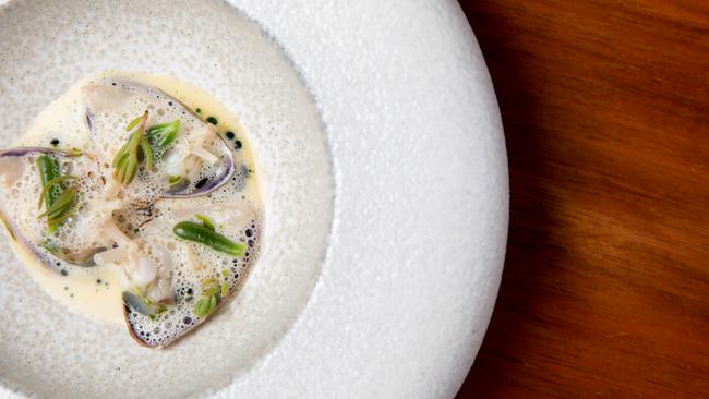 Goolwa pipis, dry aged beef, beach succulents and finger lime at Orana. Picture: Lewis Potter