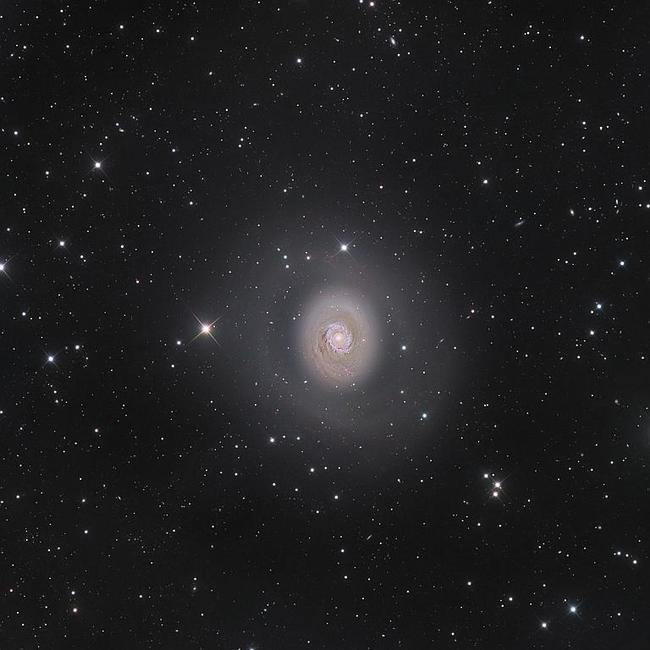 M94: Deep Space Halo ... Discovered in 1781, Messier 94, or M94, is a distant spiral galaxy lying approximately 16 million lightyears away from our planet, that is notable for its two-ringed structure. At the centre of the structure the shimmering pinks of the inner ring show the hectic star forming activity leading to its sometimes being referred to as a starburst ring. The photographer has also captured the often unseen galactic halo of M94 made up of stars, hot gases and dark matter. Picture: Nicolas Outters, Insight Astronomy Photographer of the Year 2016 Galaxies Winner