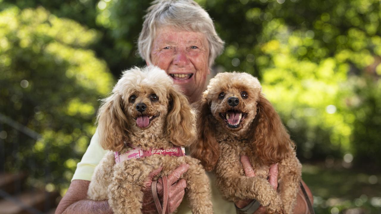 Noreen O'Reilly with Honey (left) and Lucky at the Blessing of the Pets at All Saints Anglican Church, Saturday, October 12, 2024. Picture: Kevin Farmer