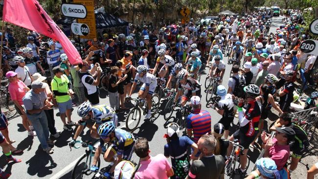 The massive crowd at Stage 5 of the Tour Down Under in Willunga.