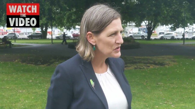 Greens welcome abuse inquiry