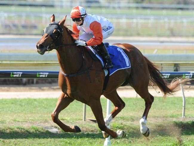 Alannah Fancourt guides Satirical Lass to victory at Doomben last August. Picture: Grant Peters