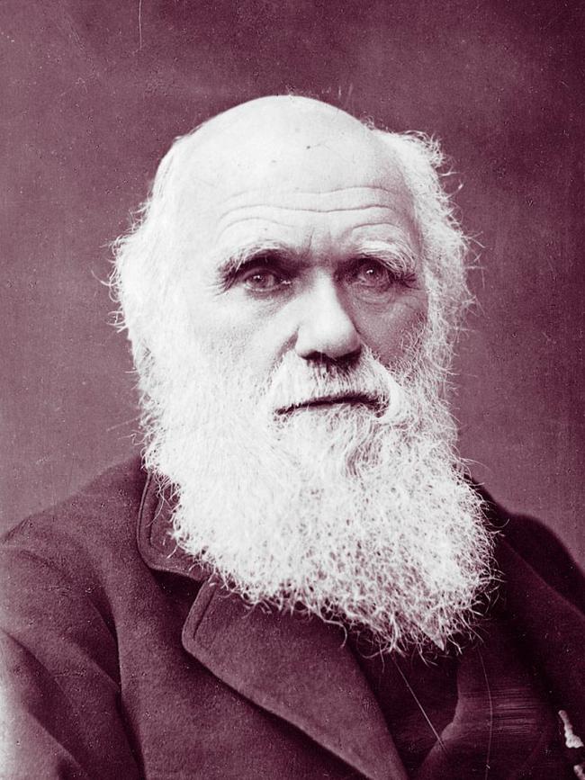 Charles Darwin’s theory of evolution and natural selection totally shook Victorian England in the 1860s and revolutionised science and all that preceded it. Picture: Supplied